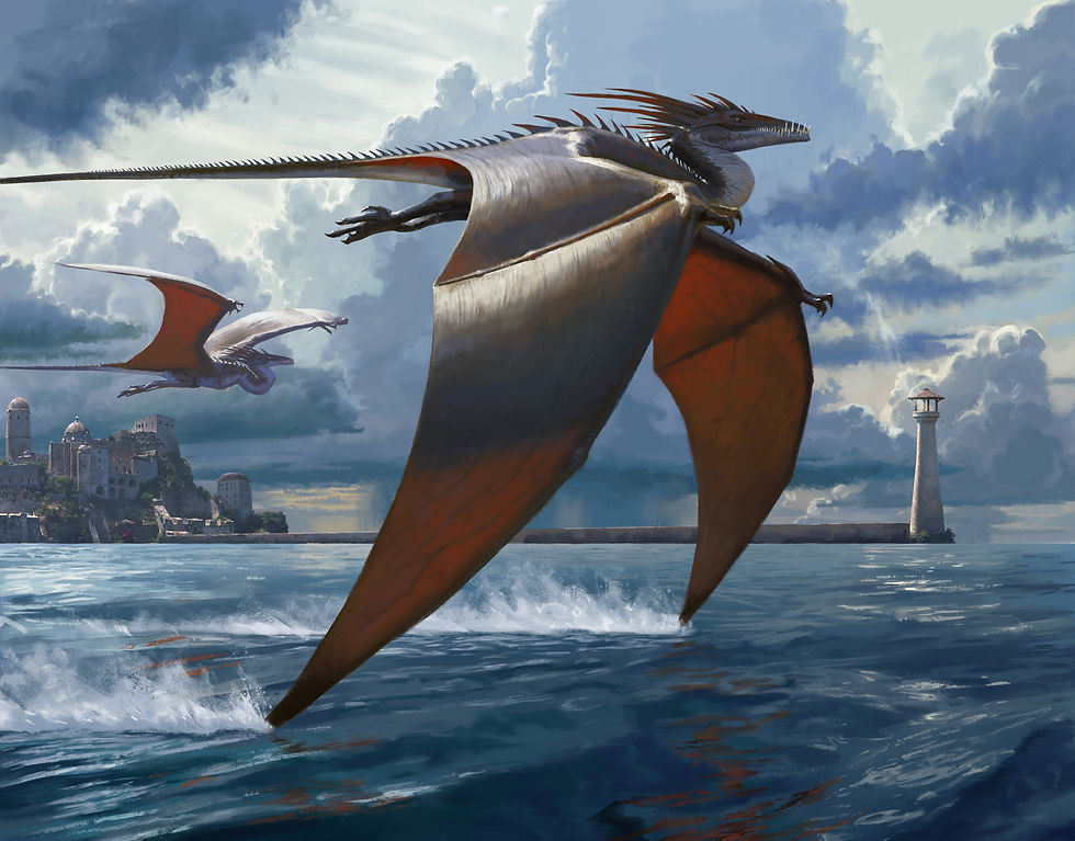 drakes copy ectended.jpg