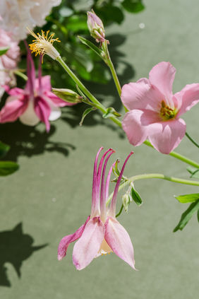 Elegant wedding bud vase featuring soft romantic blooms arranged with airy movement, styled for a timeless Montreal luxury wedding floral design.