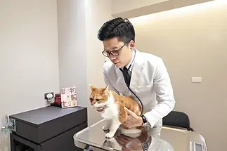 191025-5405-1-dlZJl拷貝.jpg.webp