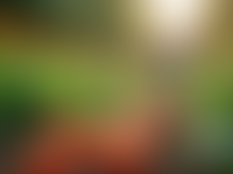 The Importance of Sustainable Living in Today's World