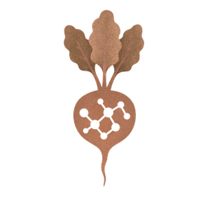 LOGO MINIATURA.png