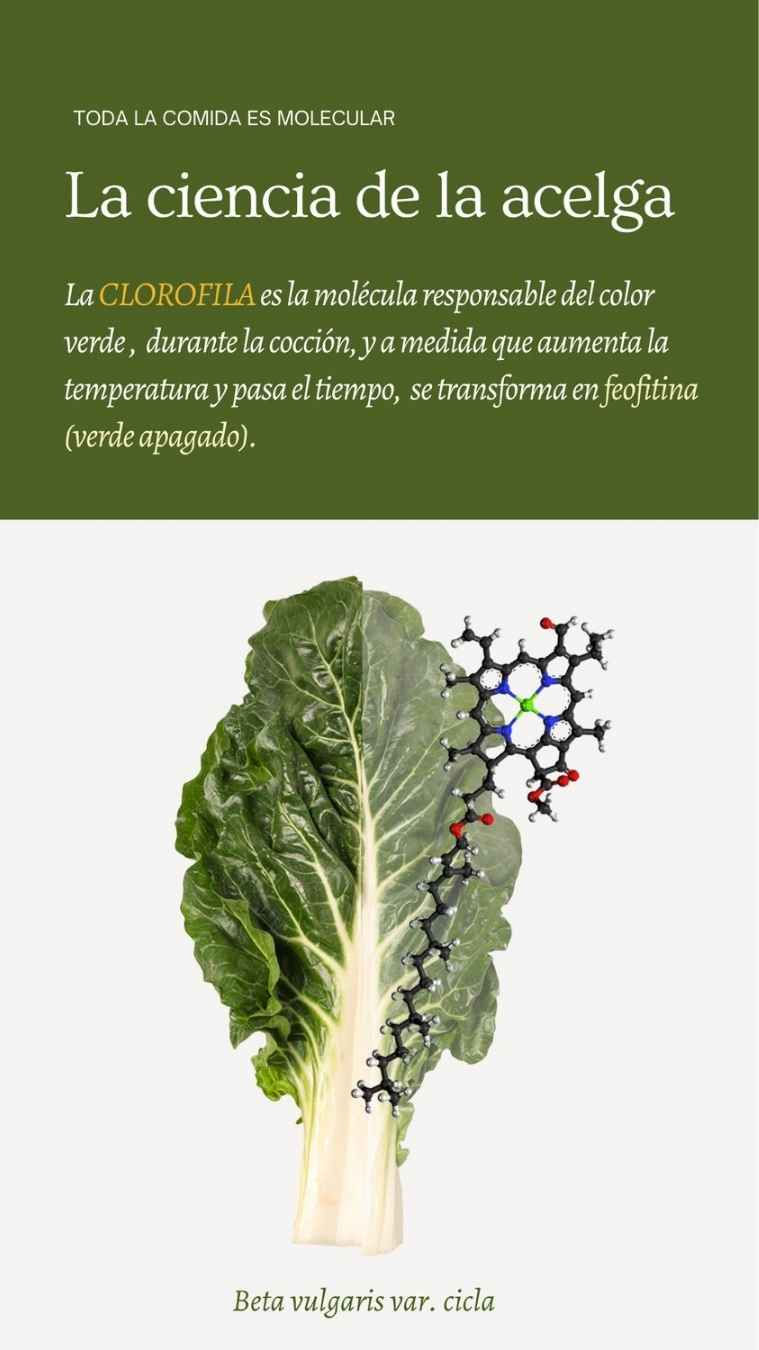 Ciencia de la clorofila
