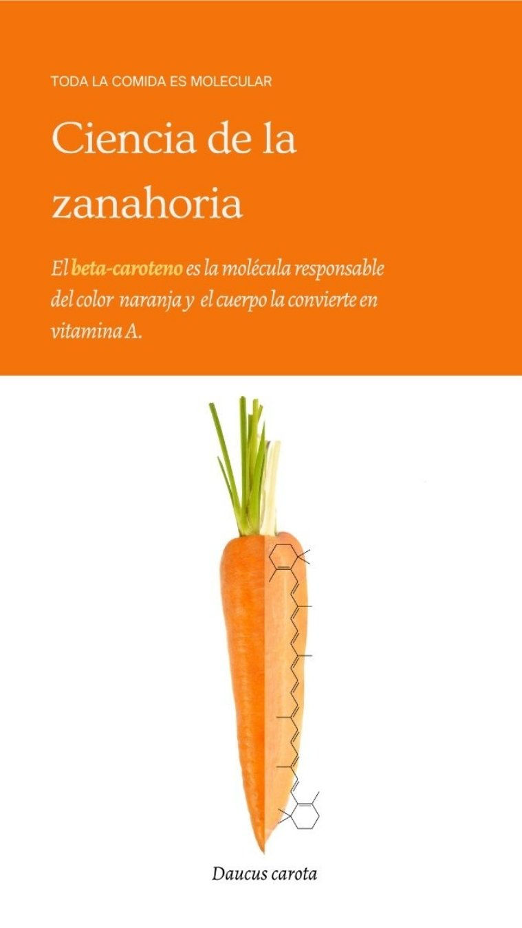 Ciencia de la zanahoria