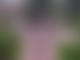 Crab Feast for Seniors at Johns Hopkins University in 2005