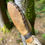 Miniature : Hochet Médecine | Cheval-Labradorite | Medicine Rattle