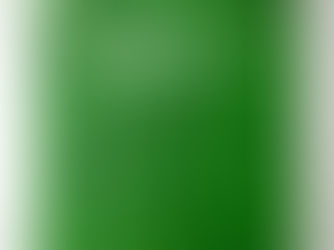 Best Deals! Green Wall Twinkling Lights Bridal Shower Backdrop