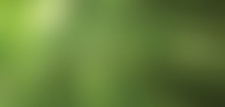 May I help you find your verse?