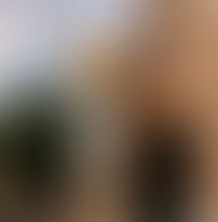 Perly's Delicatessen Restaurant