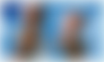 Free to choose which illusion to believe.