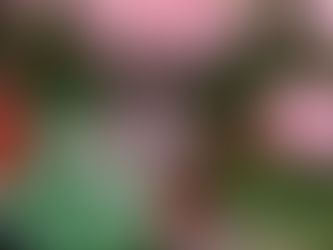 Can’t wait to see what the world has in store for me today!