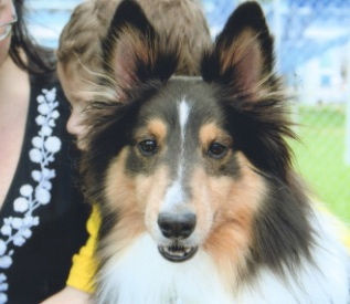 The face of unconditional love!