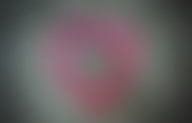 Your lifelong fairytale romance begins today!