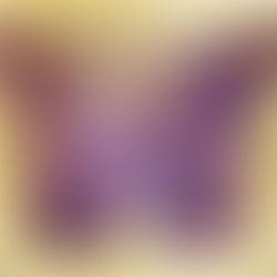 Grateful for connections.