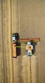 Harvest 2022