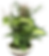 Ceramic E