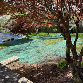 Hydroseeding job to promote healthy lawn growth and prevent erosion.
