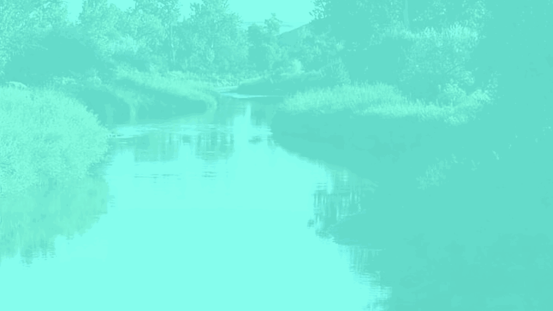River Header.gif