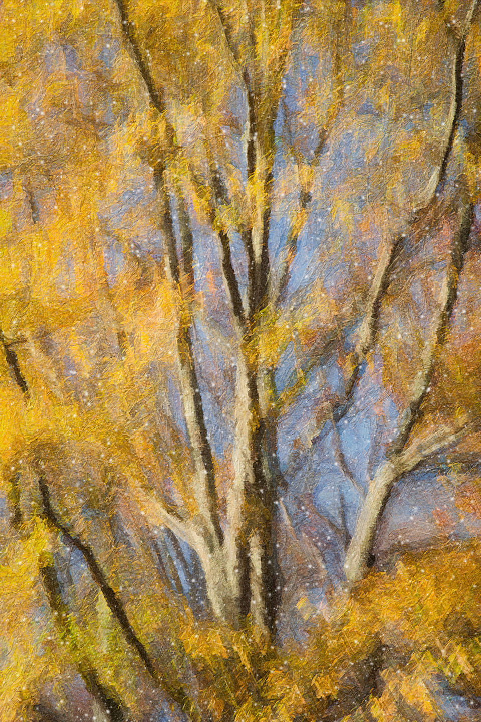 tree-yellow-blur-gr-falls_snow3.jpg