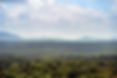 _IMG6090.jpg