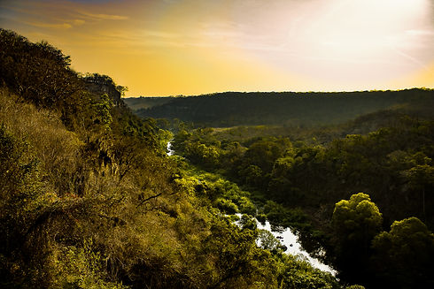 Landscape-9.jpg