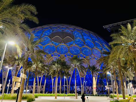 My Experience at Dubai Expo and Global Village - Things To Do In Dubai