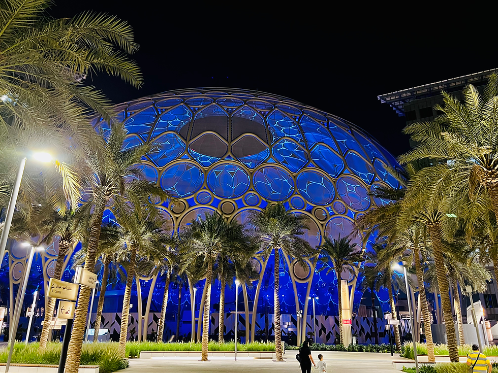 My Experience at Dubai Expo and Global Village - Things To Do In Dubai