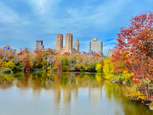 The Perfect 7-Day New York City Itinerary - Top 10 Things to Do in New York