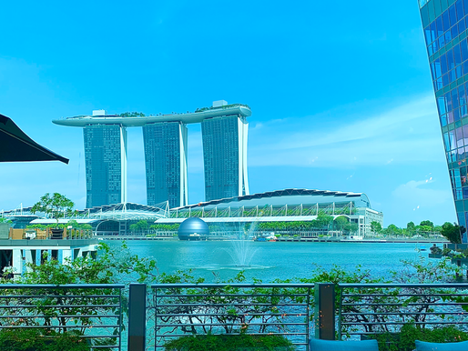 Top 5 Must Visit Places in Singapore - Top 5 Things to Do in Singapore