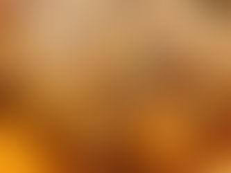 Summer Vegetable Gratin: Recipe from Pembroke Farmers Market President, Meghan Watts