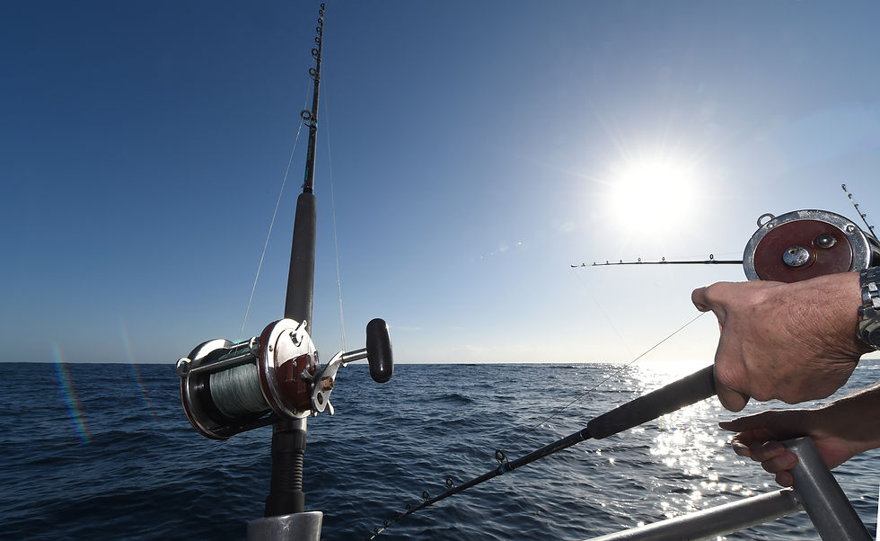 sea fishing, blekinge, sweden