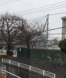 春分の日の雪