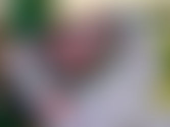 HC 1946 Praga vydává oficiální vyjádření k aktuálnímu stavu jednání o prodloužení nájmu sportovního areálu.