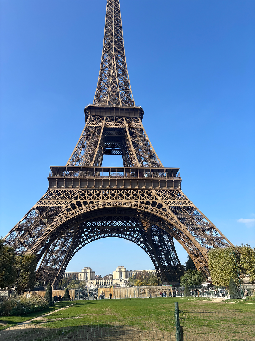 The Eiffel Tower In Paris France