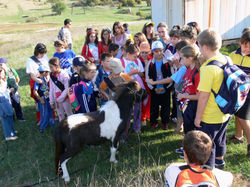 2007 г. Движи се и победи