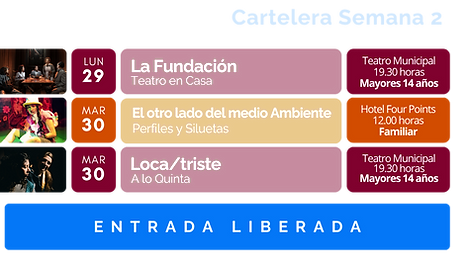 Festival 2026 Posteos (19).png