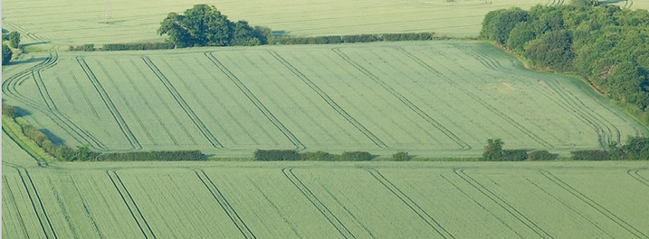 Land use.png