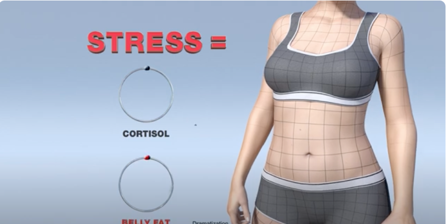 Cortisol