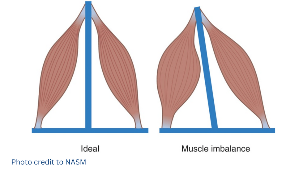 Dynamic Stretching and Menopause