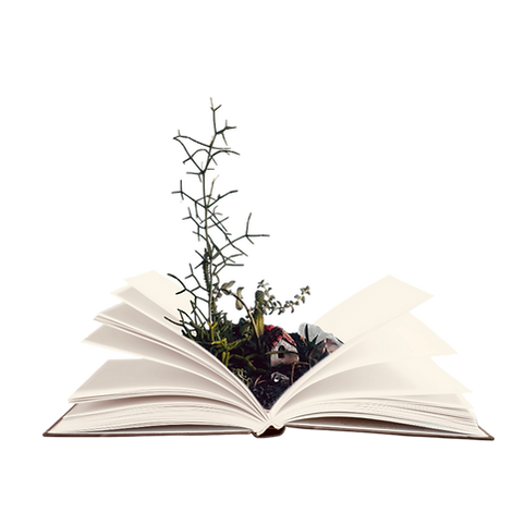 floresta no caderno.png
