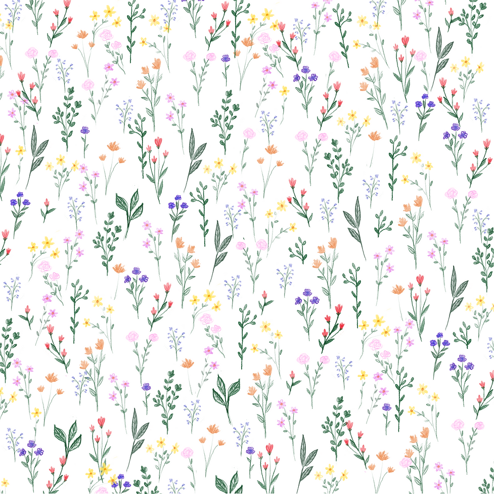 Untitled_Artwork (7).png
