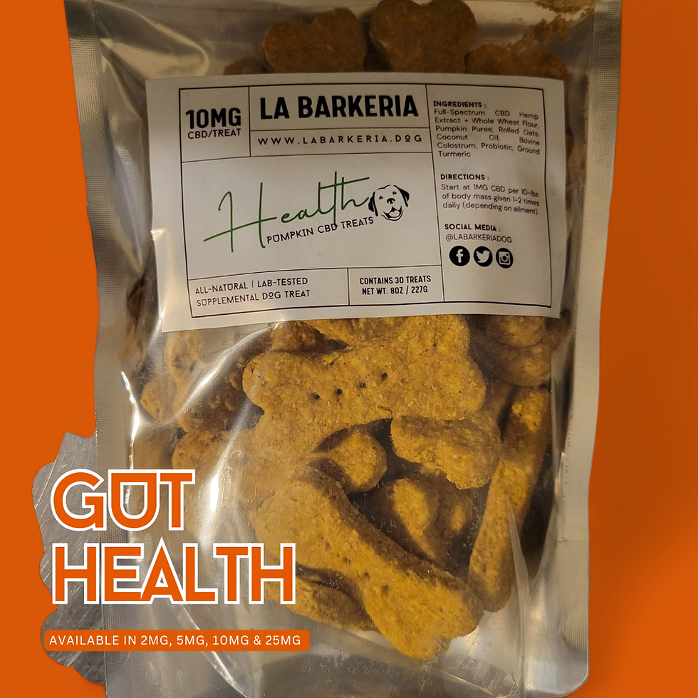 Thumbnail: Gut Health Treats (Pumpkin)