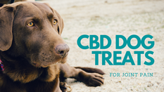 Does CBD help Joint Pain?