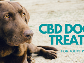 CBD for Joint Pain