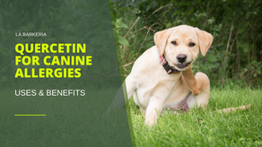 Quercetin for Seasonal Allergies
