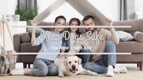 Keep Dogs Safe on NYE