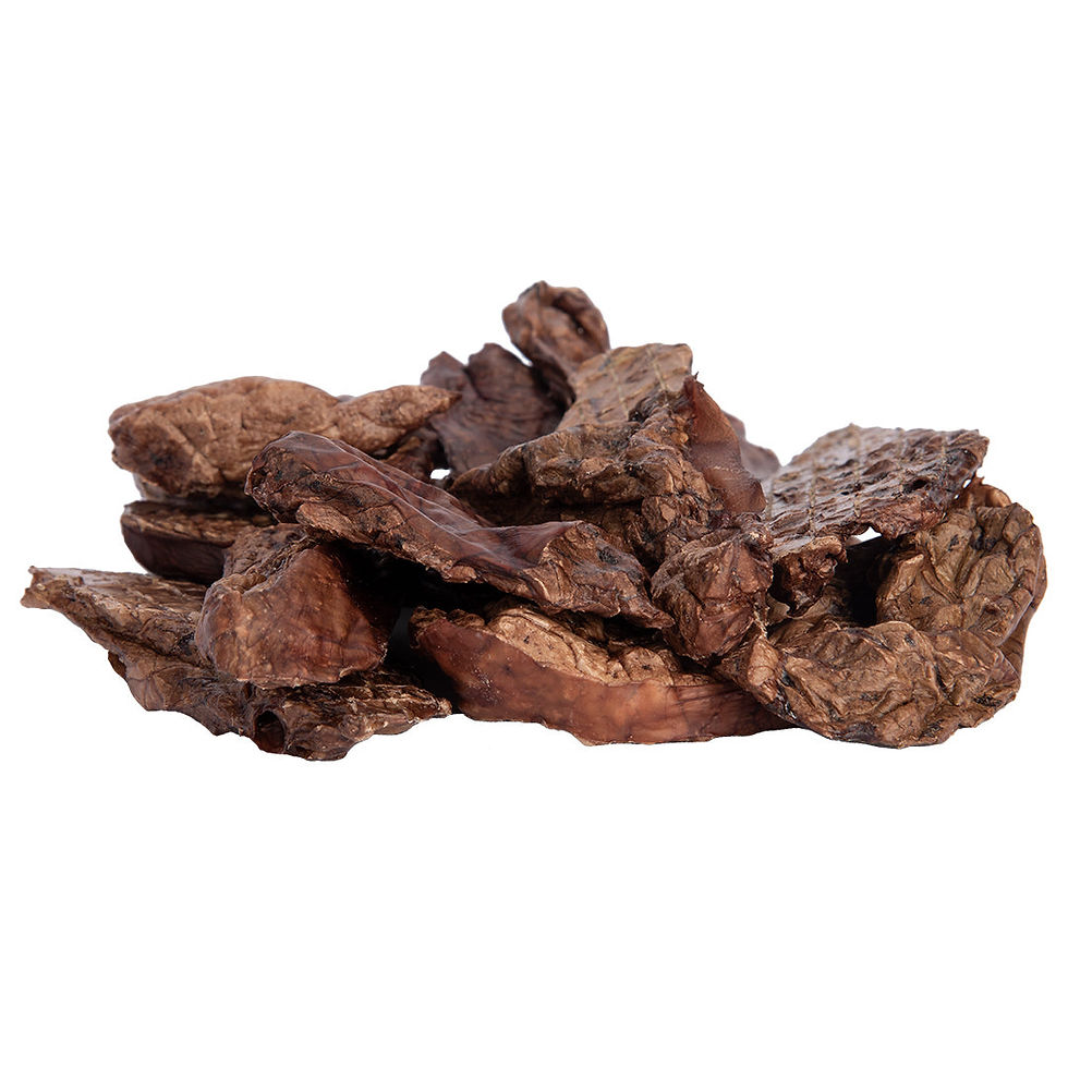 Thumbnail: Cow Lung