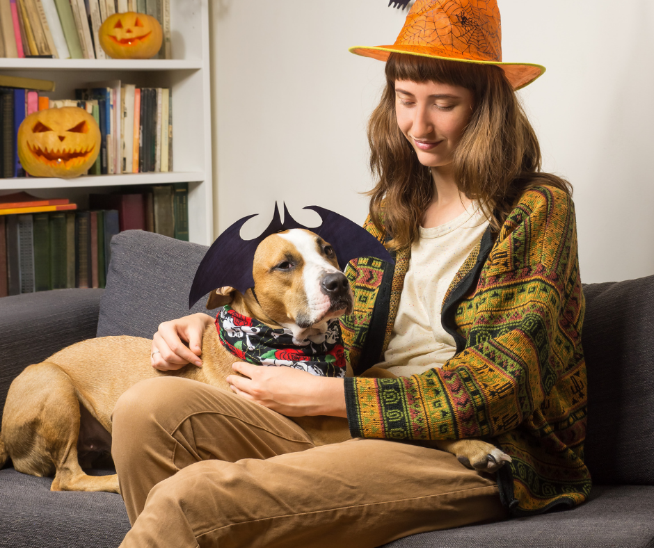 Pet costumes can be stressful for some dogs; ensure that your dog's outfit doesn't empede their ability to see, smell or breathe.