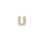 U Charm Gold
