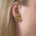 Double Drop Earrings