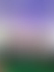 గోపన్‌పల్లి లోమహానీయులైన మహాత్మా జ్యోతిరావు ఫూలే గారి 199వ జయంతి